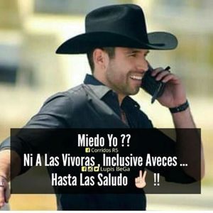 Meet your Posher, Esther