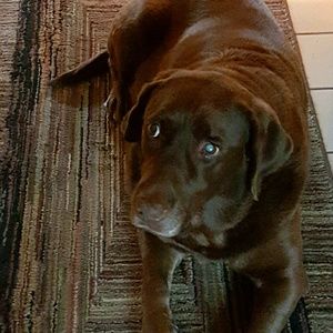 Meet your Posher, Kelly