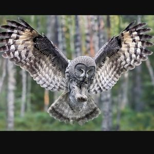 Meet your Posher, Jason shelly