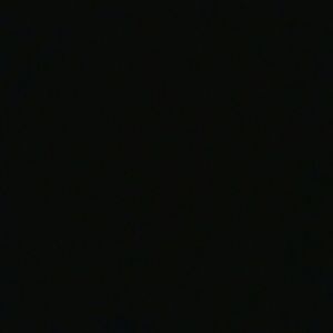 Meet your Posher, Missy