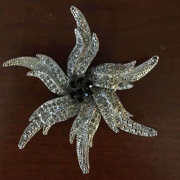 Jewelry - Beautiful silver and black star shaped brooch