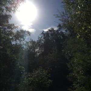 Bundle for molly_dammen