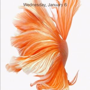 Meet your Posher, Janet