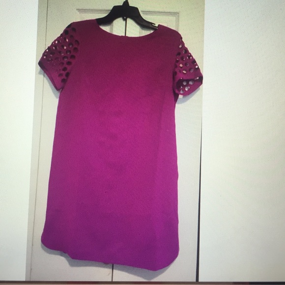 Purple Shirt Dress