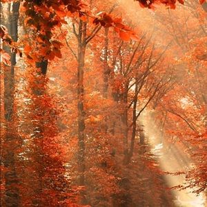 Meet your Posher, Renae