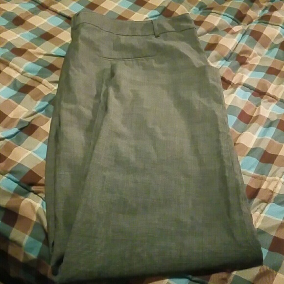 Gray with White Lines Pants 24W