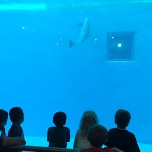 Meet your Posher, Roze