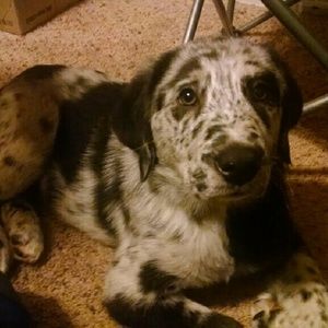 Meet your Posher, Erika