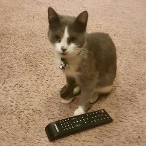 Meet your Posher, Jill