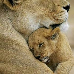 Meet your Posher, Renee