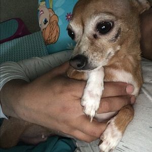 Meet your Posher, Lynette