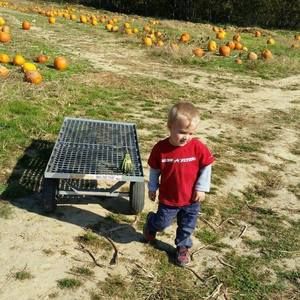 Meet your Posher, Lola