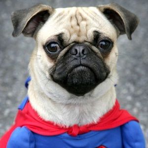 Meet your Posher, Denise