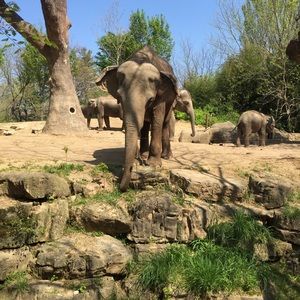 Meet your Posher, Deanna