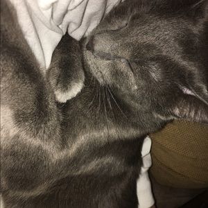 Meet your Posher, Penny