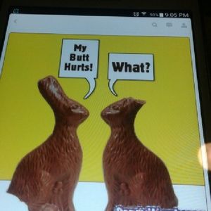 Meet your Posher, Misty