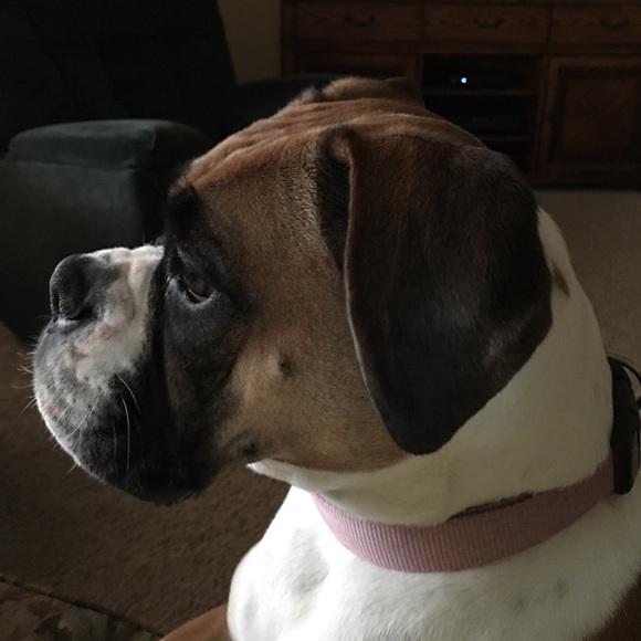 Meet your Posher, Joedda - Picture 1 of 1