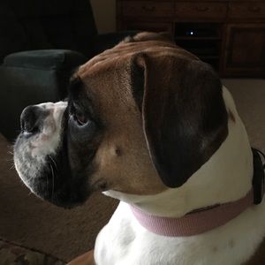 Meet your Posher, Joedda