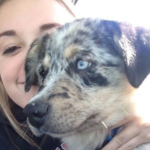 Meet your Posher, Crystal