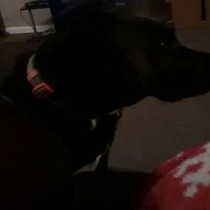 Meet your Posher, Breanna