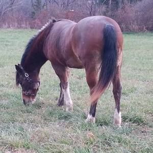 Meet your Posher, Michelle