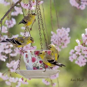 Meet your Posher, Andrea