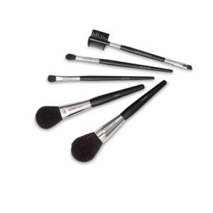 MARY KAY BRUSH/BAG SET