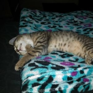 Meet your Posher, Christina