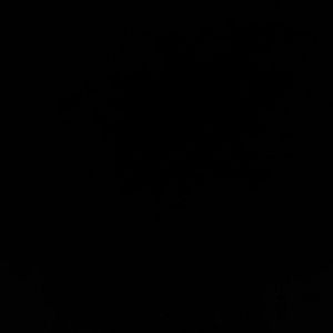 Meet your Posher, Max