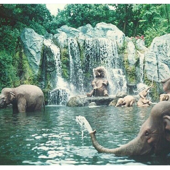 Meet your Posher, Adrianna