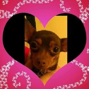 Meet your Posher, Theresa