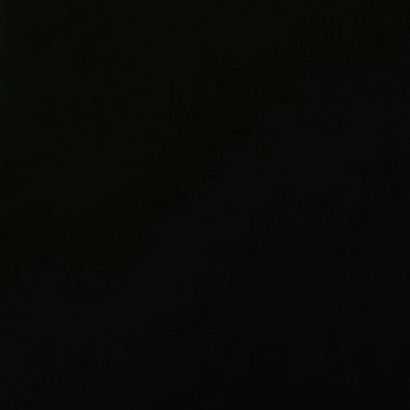 Meet your Posher, Ivan - Picture 1 of 1