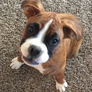 Meet your Posher, Andrea