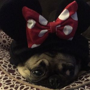 Meet your Posher, Alexis