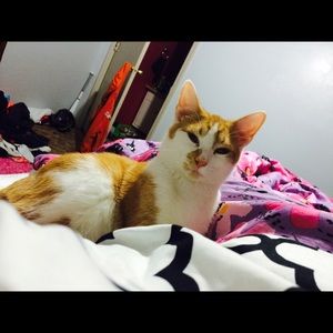 Meet your Posher, Samantha