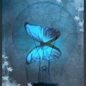 Meet your Posher, Magné