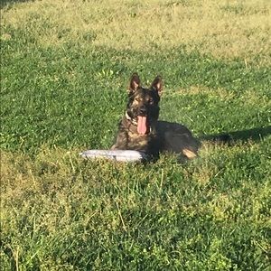 Meet your Posher, Maria