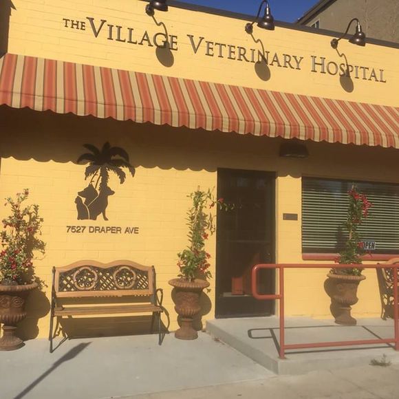 Meet your Posher, Sue