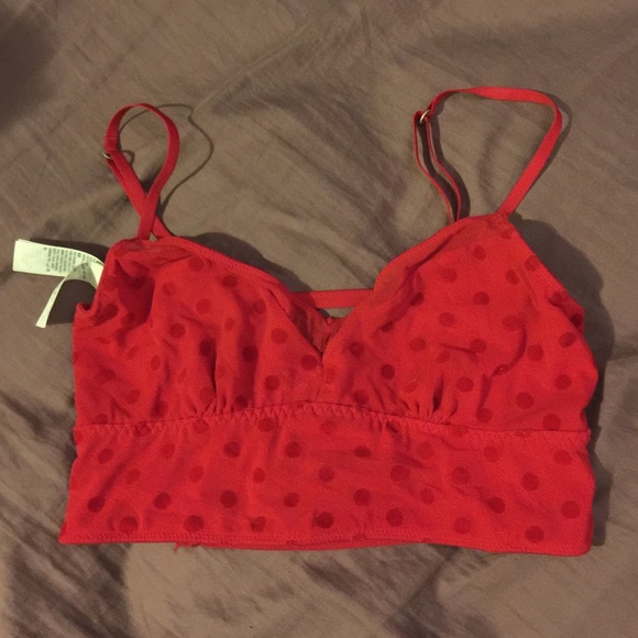 Gilly Hicks Bralette