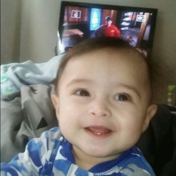 Meet your Posher, Nikki - Picture 1 of 1