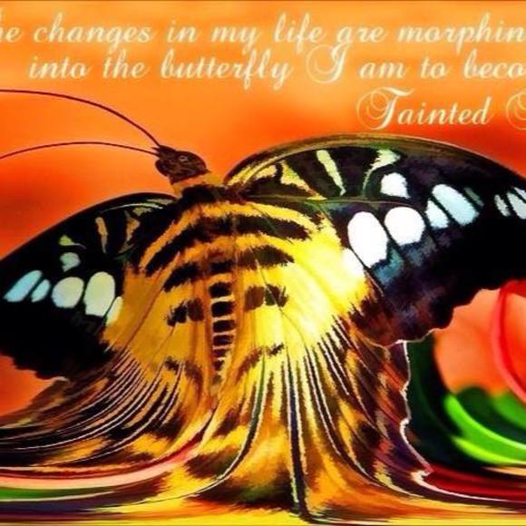 Meet your Posher, Crystal - Picture 1 of 1