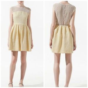 Zara Boucle Lace Yellow Tulip Dress