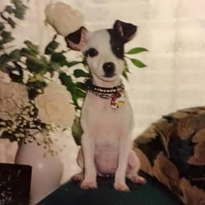 Meet your Posher, Judith