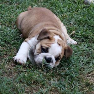 Meet your Posher, Tracie