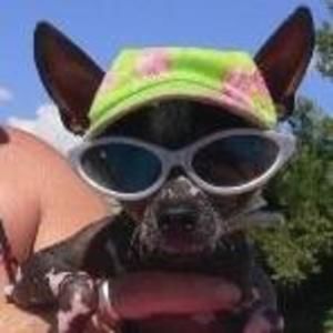 Meet your Posher, Tami