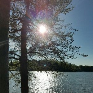 Meet your Posher, Edith