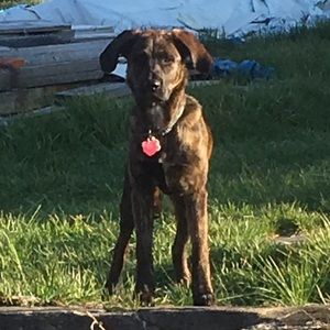 Meet your Posher, Emma