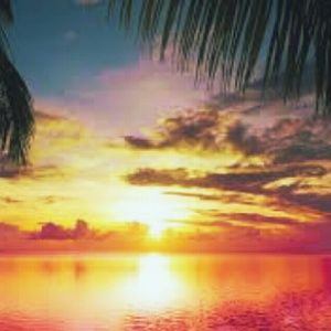 Meet your Posher, Gabby