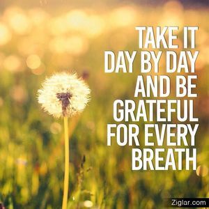 Meet your Posher, Rosario