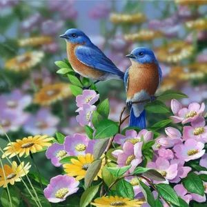 Meet your Posher, Joy